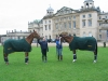 In front of Badminton House