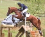 Bella at the Festival of British Eventing