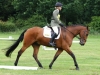 Jenny & Ballymore Rich Cat, Catton Park, June 2018