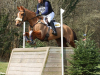 Cirencester Park, March 2022