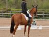 Aston 4* May 2021