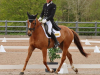 Aston 4* May 2021