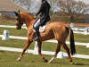 Burnham Market, April 2021