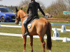 Burnham Market, April 2021