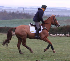 Bill Levett Bill Levett