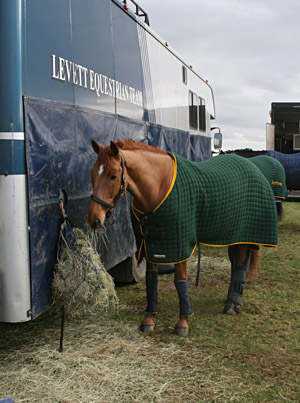 Bill Levett