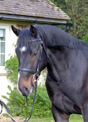 Bill Levett
