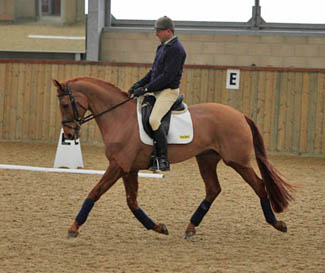 Bill Levett & Hipp Bill Levett