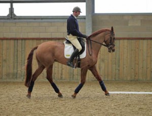 Bill Levett & Hipp Bill Levett