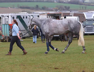Silver Bill Levett
