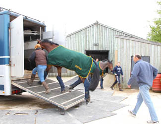 Levetts Yard, leaving for Saumur Bill Levett