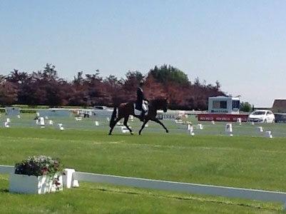 Bill Levett at Tattersalls Bill Levett