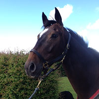 Monty Bill Levett