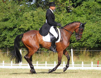 Bill Levett and Shannondale Titan, Gatcombe 2013 Bill Levett