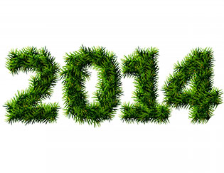 NewYear2014