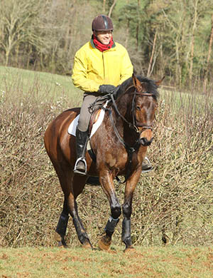 Bill Levett, Midsummer Focus, XC Schooling, Swalcliffe, Feb 2014