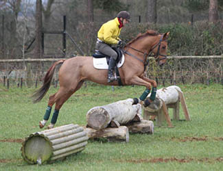 Bill Levett