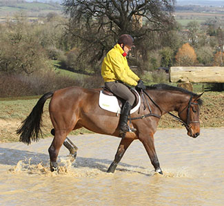Bill Levett