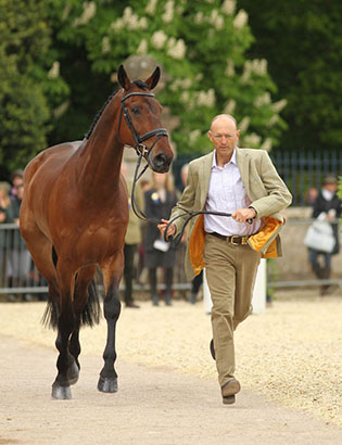 Bill Levett and Shannondale Titan, Badminton 2014