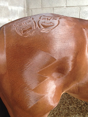 QuarterMarks
