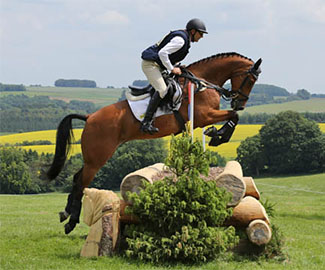 Bill Levett and Detroit, Salperton HT 2014