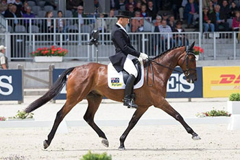 Womble-dressage