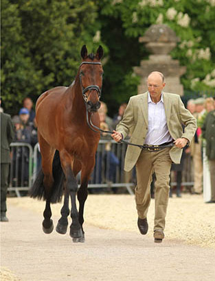 Bill Levett and Shannondale Titan, Badminton 2014