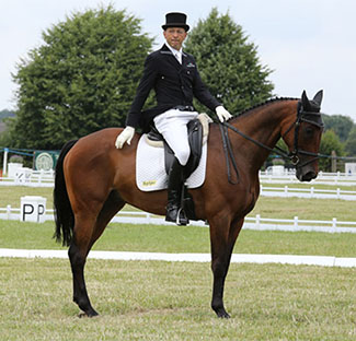 Bill Levett and Improvise, Festival of British Eventing, Gatcombe 2014