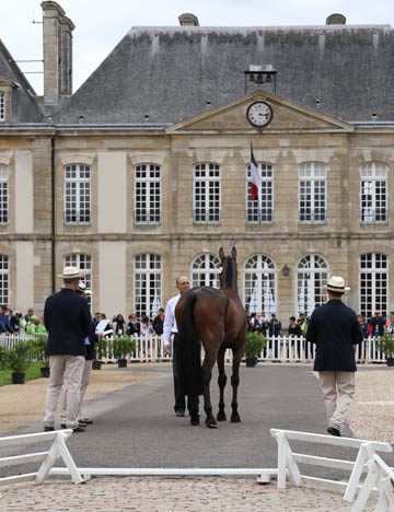 Bill Levett and Shannandale Titan, Trot Up, WEG Normandie, 2014