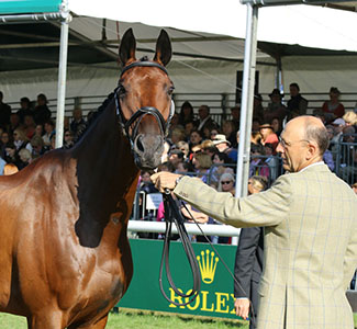 Bill Levett and Improvise, Burghley 2014