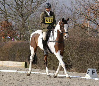 Bill Levett and Piltown Colours, Aston March 2015