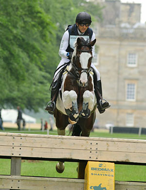 Bill Levett and Piltown Colours, Houghton International, May 2016