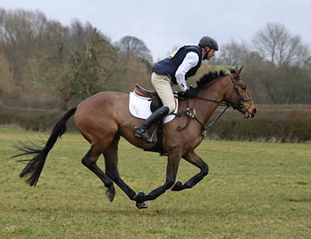 Bill Levett and Midsummer Focus, Aston March 2015