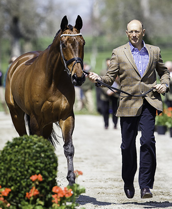 Rolex-Trot-0207LL