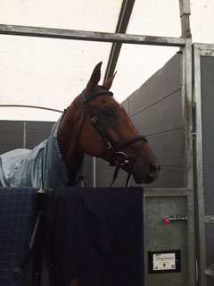 Blenheim_0406