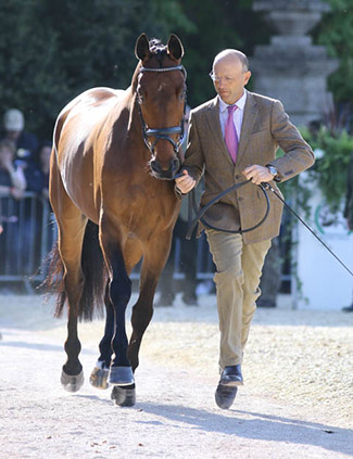 Bill Levett and Improvise, Mitsubishi Motors Badminton Horse Trials 2016